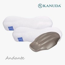 가누다 블루라벨 안단테 더블세트 (베개2+허리냅) 기능성 배게, 단품