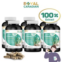 카카파파 캐나다 시서스 캡슐 100배 고농축 시저스 묶음, 총360캡슐/60캡슐6병