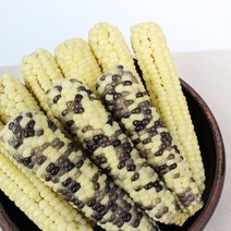친환경팔도 [생산자직송] 무주 대학 미백 얼룩이 찰옥수수, 얼룩이 12개(4팩)