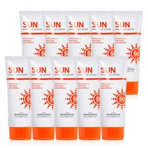 (10개)푸드어홀릭 멀티 선크림 70ml SPF50/PA+++, 단품