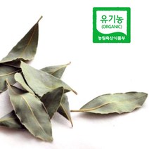 엔젤농장 유기농 국산 월계수잎, 20g, 1개