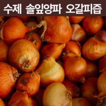 생 양파즙 통양파즙 저온착즙 양파즙 양파껍질즙 양파 엑기스 액기스 농축액 양파진액 양파착즙 양파액 부모님 시아버지 할아버지 선물 건강즙 30포