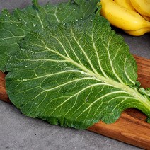 산세로 유기농 케일 2kg 녹즙용아이스박스, 단품