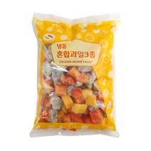 글로벌 냉동 3종 혼합과일 1kg(망고 용과 파파야), 1개