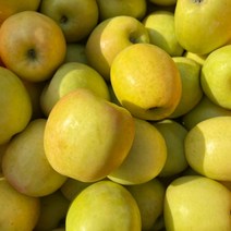 16~18Brix 고당도 경북 안동 사과 부사 5kg 중대과