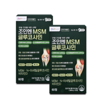 온누리 조인엔MSM 글루코사민 (구 조인포스정), 60정, 4개