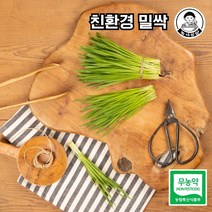 당일작업! 친환경 무농약 밀싹/밀순 250g/500g, 250g