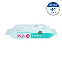 그린핑거 [99.9%살균소독] 손소독 물티슈 캡형 30매 유아물티슈, 1개
