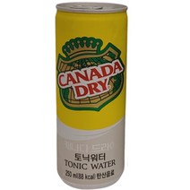 캐나다 드라이 토닉워터 250ml 10개