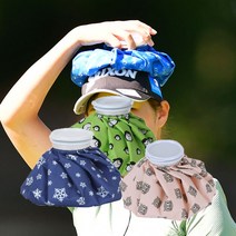 (1+1) 골프 얼음주머니 아이스 스포츠 보냉백, 그린(12인치), 그린(12인치)