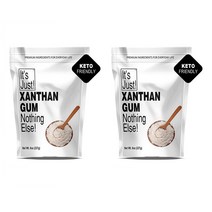 Its Just 잇츠저스트 잔탄검 Xanthan Gum Nothing Else 227g 2개