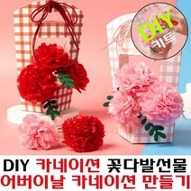 DIY 어버이날 종이 카네이션 꽃바구니 만들기 키트, 레드