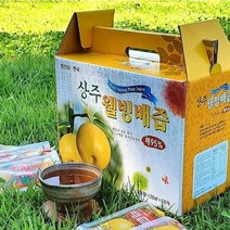 도라지 배즙 신토불이 상주 웰빙농장 도라지배즙 3박스(150팩) 생즙, 150팩, 120ml