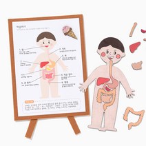 [클릭해바] 인체 지도 소화기관 나무 공예 과학 수업 교구 만들기 소품 세트 방과후 돌봄 미술 교재 초등 유아 팬시 유치원 아동 홈스쿨링 키트 단체 diy 우드 꾸미기 재료, 인체지도소화기관+스티커