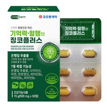 타이거아울렛 기억력 혈행개선 징코 플러스 30정 x 1박스 약 1개월분 은행잎 추출물 플라보놀배당체 뇌 은행 빌로바 혈액순환 개선제 수험생 영양제, 단품, 단품