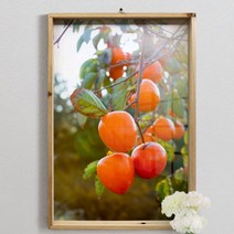 da379-우드프레임액자_재물을풍성하게감나무, 6.풍수재물을부르는감나무