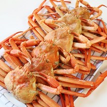 포항 구룡포 선주직송 자숙 홍게 찜 당일조업, 고급형홍게 10마리 3kg, 1개
