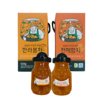 설렘이가득한 제주 한라봉차 천혜향차 320g 520g 액상차 과일청 기념품 특산품 답례품, 한라봉차 320g