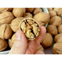 국산 피 호두 햇호두 알호두 생호두 1kg, 일반 호두 1kg(80~110개)