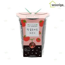 방울토마토키우기 미니화분 식물키우기, 단품