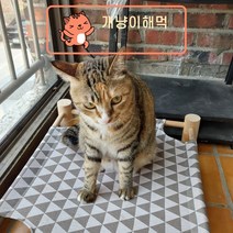 고양이 원목 해먹 강아지 여름 침대 애견 쇼파 쿨매트, 노랑