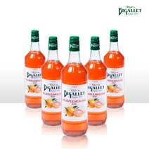 비갈레 자몽 시럽 1L 프랑스 커피 카페 grapefruits 토핑, 1개