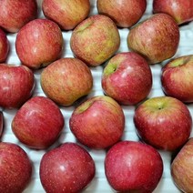 고랭지 당도좋은 청송사과 햇 꿀사과 부사 사과 5kg, 가정용 소과 5kg [20-25과]
