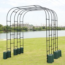 아치문 넝쿨 대문 장미 팬스 포도나무지지대, 블랙 30cm1.5m2.4m