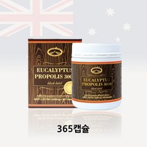 프리미엄 프로폴리스 3000mg 365정 네이쳐스탑 호주 유칼립투스 프로폴리스 사은품 증정