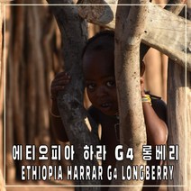 (커피생두) 148 에티오피아 하라 롱베리 G4 500g