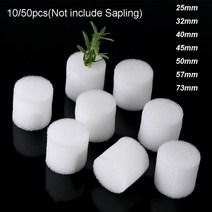 수경재배기 식물재배기 가정용스마트팜 1050pcs 무 토양 수경 야채 보육 냄비 보육 스폰지 꽃 씨앗 무 토양 재배 시스템 종자 트레이, 흰색 50mm-50pcs