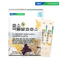 효소 N 곡물발효효소 대용량 프리미엄 20곡물 발효효소함유 누룽지맛, 100포, 1개