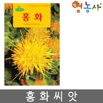 홍화씨앗 100립, 홍화