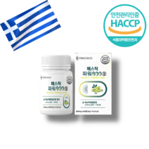 그리스 키오스 매스틱 검 함량 50% 정 추출 분말 600mg x 60정, 1통(1개월/60정)