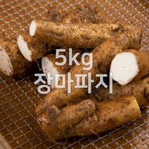 태산농장 마 안동마 장마 산마 파지, 5kg (장마 파지), 1개