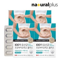 에버핏 장용성 100억 유산균 프로바이오틱스 30캡슐 4박스 4개월 / 유산균 장용성 캡슐
