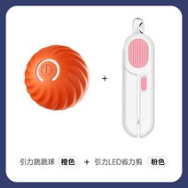 강아지공놀이장난감 자동공발사 자동발사기 반려견 터그놀이기계 공던져주는 애견장난감, D