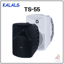 카날스 TS-55 1개(통) 매장용 패션스피커 최대160와트, 블랙