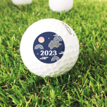 새해덕담 커스텀 골프공 3구1세트 브리지스톤 슈퍼스트레이트 미즈노RB566 밸런스퍼포먼스 명절 구정 골프공선물 인쇄 제작, 브리지스톤 슈퍼 스트레이트, 1