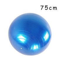 짐볼 보수볼 토닝볼 하프 토구 땅콩 2mm 강한 pvc 피트니스 공 요가 공 농축 운동 홈 체육관 필라테스 장비 균형 풍선 45cm55cm65cm75cm85cm, 블루 75cm