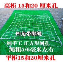 그물망 난간 안전 25톤 차량용 낚시 트럭 트렁크 네트 덤프트럭 골프, 길이 2.4x3 (5cm 격자)