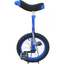 외발자전거 12인치 입문 초보용 묘기자전거 곡예 균형, 12인치 쿨 블랙