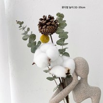 북유럽 리얼 플라워 드라이 플라워 부케 추상 아트 캐릭터 조각 홈 장식 사암 수지 테이블 장식, 코튼 볼 유칼립투스 꽃다발 (초상화 제외)