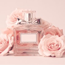 (20ml)프래그런스향오일-55종(디퓨저 캔들 석고향)리필오일CPL, 43.일랑일랑프래그런스향-20ml