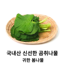 국내산 신선한 곰취나물 400g 800g 귀한 봄나물 건강나물 곤달비 곰취쌈 곰취장아찌 곰취생채 국산 당일수확 산지직송