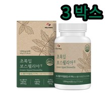 초록입보스웰리아 60정 우슬 쇠무릎 알약형 초록잎3통 효능 콘드로로이친 파는 곳 인도산 식품 어깨 허리