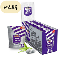 [해외] 피셔맨 프렌드 프로 프레쉬 블루베리 무설탕 비건 캔디 17g 12개 베스트몰 미국직구