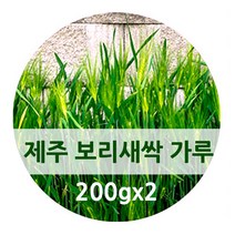제주도 새싹 보리 분말 가루 추출분말 국산 새싹보리차 어린 보리잎 보리싹 보리순 fmd 간헐적 단식 식단 착즙 폴리코사놀 사포나린 체지방 뱃살 건강 관리, 200g, 2병