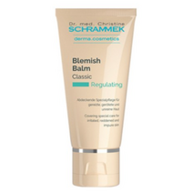슈라멕 블레미쉬밤 비비크림 40ml, 허니, 2개