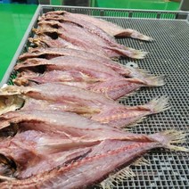 반건조 자연산민어 45cm 3마리(선물셋트 강력추천)